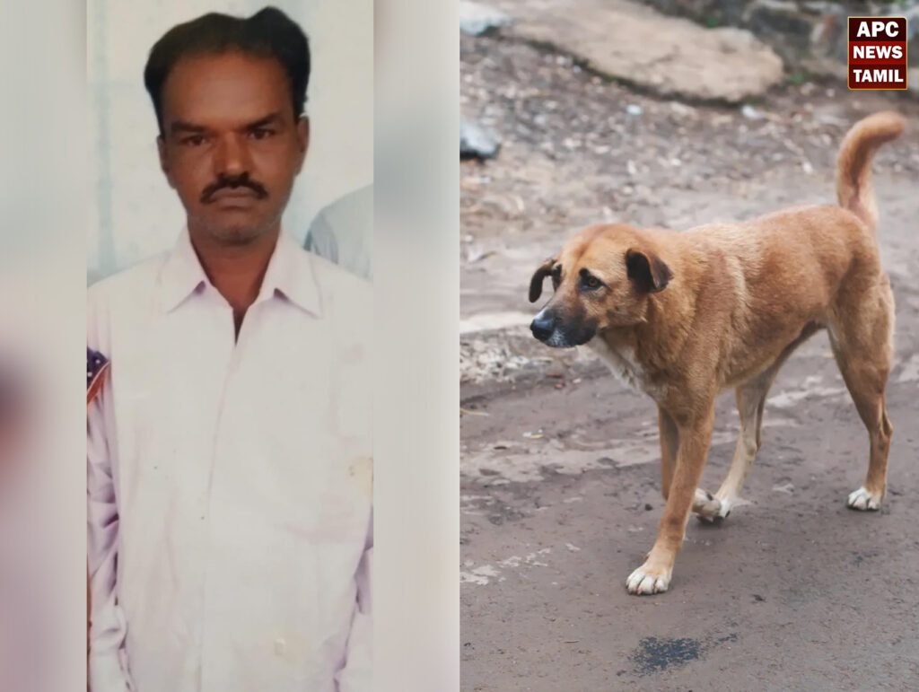 நாய்
