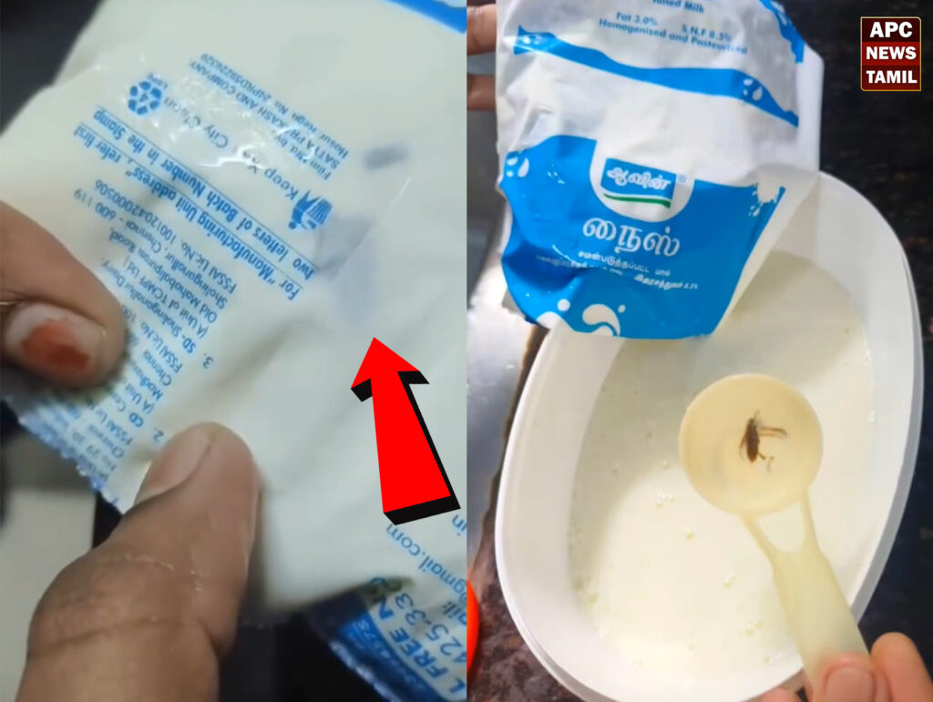 கரப்பான் பூச்சி