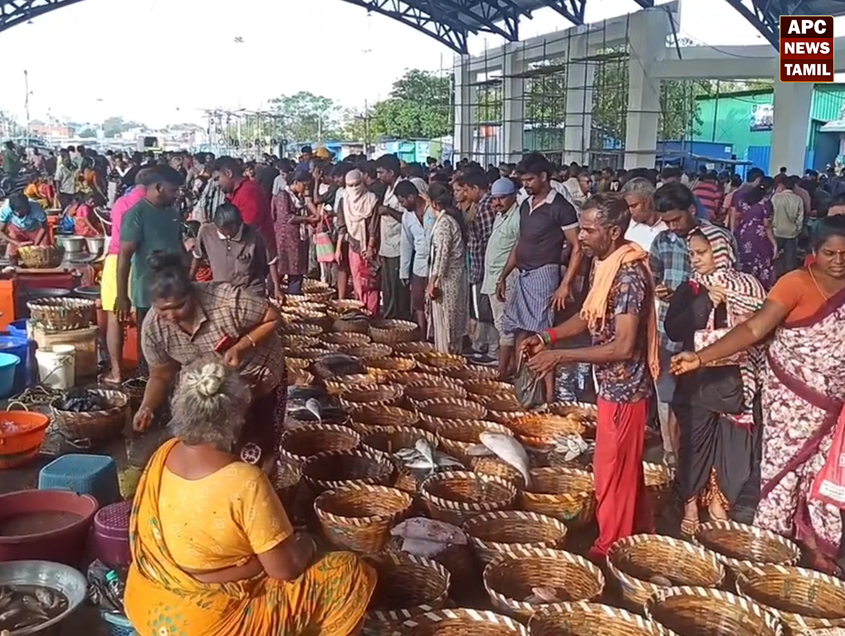 சென்னை காசிமேட்டில் அலைமோதிய மீன் பிரியர்கள்- விலை குறைவினால் பொதுமக்கள் மகிழ்ச்சி