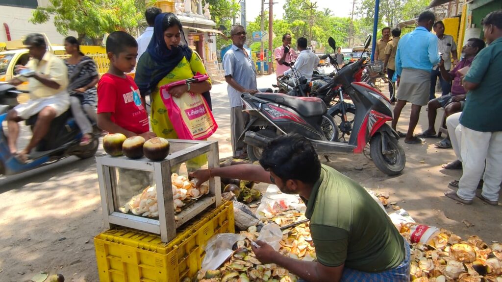 தமிழகத்தில் வெயில் தாக்கம் அதிகரிப்பு: திருச்செந்தூரில் அமோகமாக நடைபெறும் நுங்கு விற்பனை!