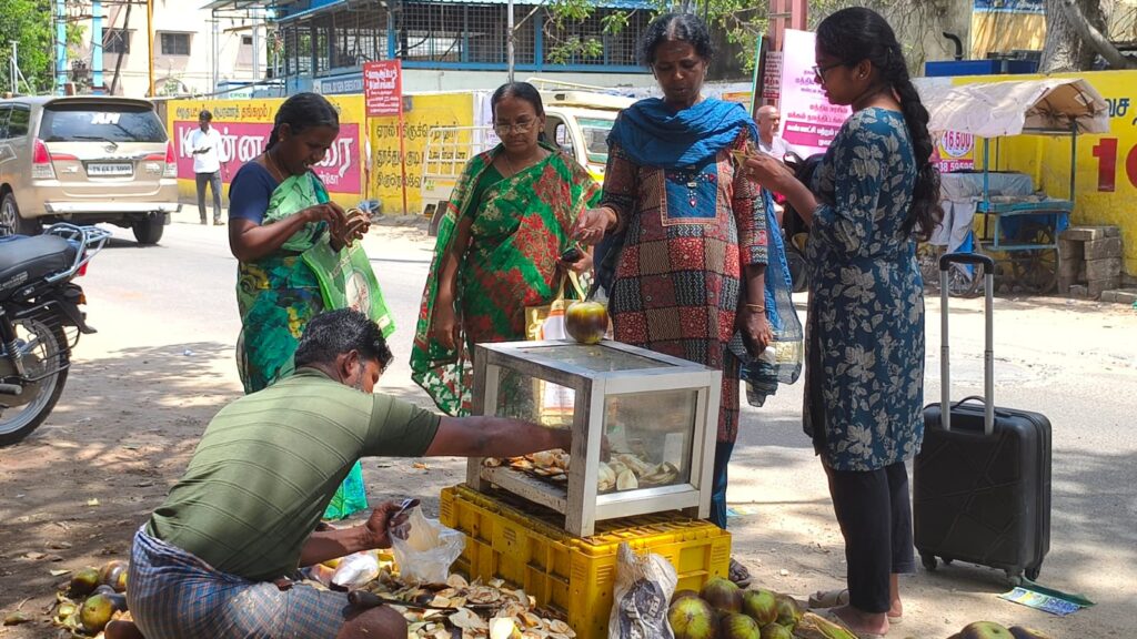 தமிழகத்தில் வெயில் தாக்கம் அதிகரிப்பு: திருச்செந்தூரில் அமோகமாக நடைபெறும் நுங்கு விற்பனை!