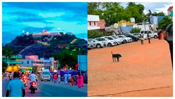 பழனி முருகன்கோவில் இடத்தில் ரூ.100 கோடி பத்திரப்பதிவு மோசடி: சார்பதிவாளர் சஸ்பெண்ட் – 5 பேர் மீது வழக்குப்பதிவு!