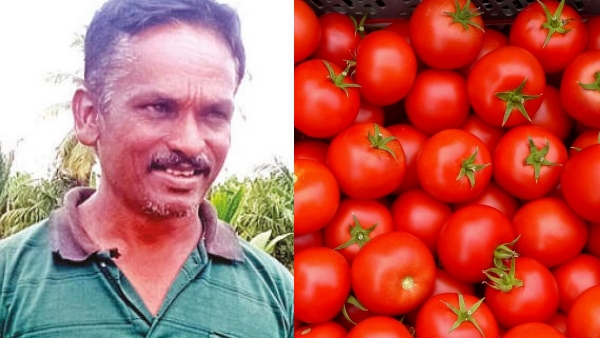 தக்காளி வரத்து அதிகரிப்பால் விலை வீழ்ச்சி: கிலோ ரூ.10 முதல் ரூ.20 வரை விற்பனை – இல்லத்தரசிகள் மகிழ்ச்சி; விவசாயிகள் கவலை!