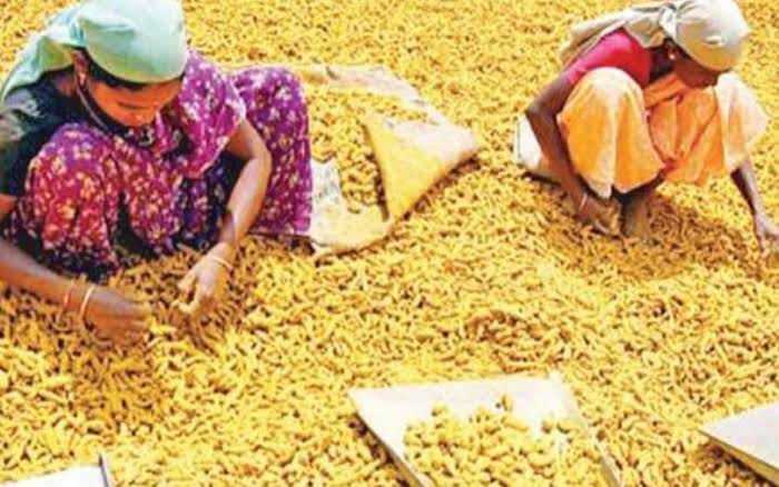 ஈரோடு சந்தையில் சரிவைச் சந்தித்த மஞ்சள் விலை: குவிண்டாலுக்கு ரூ.300 குறைவு!