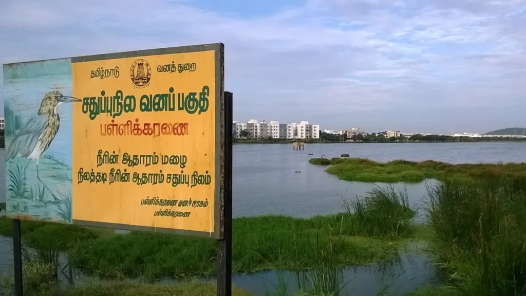 "அழிந்தால் சென்னைக்கு ஆபத்து!" - பள்ளிக்கரணை கையெழுத்து இயக்கத்தில் பாமகா தலைவர் அன்புமணி ராமதாஸ் எச்சரிக்கை!