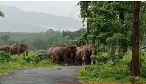 பொள்ளாச்சி–வால்பாறை 40 கொண்டை ஊசி வளைவில் சுற்றுலாப் பயணிகள் குவியல்... முக்கிய எச்சரிக்கை விடுத்த அதிகாரிகள்