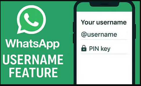 Whatsapp User name