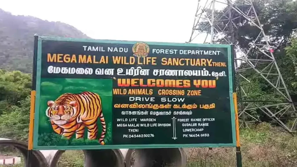 "பூர்வகுடி மக்களை ஆக்கிரமிப்பாளர்களா சொல்வதா?"... வனத்துறையின் ஒரே அறிக்கையால் அலறும் மேகமலை பலியர் பழங்குடிகள்!