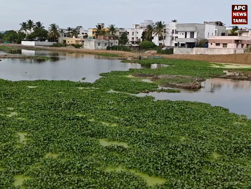 அரபாத்