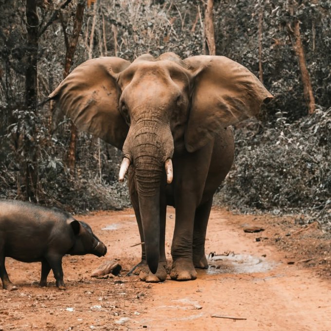உங்கள் நேரமும் கவனமும் யாருக்கு உரியது? வாழ்க்கையை மாற்றும் ஒரு குட்டிக்கதை!