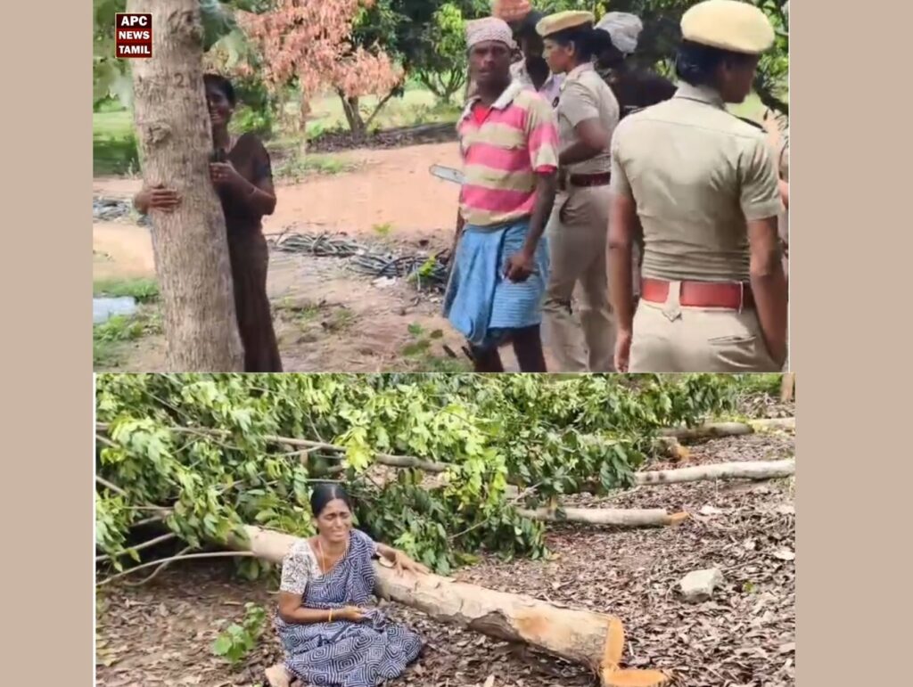 கள்ளக்குறிச்சி அருகே அதிர்ச்சி: காவல்துறை பாதுகாப்புடன் நூற்றுக்கும் மேற்பட்ட மரங்கள் வெட்டிச் சாய்ப்பு - இழப்பீடாக ரூ.97, ஆயிரமா என கண்ணீர் விடும் விவசாயிகள்!