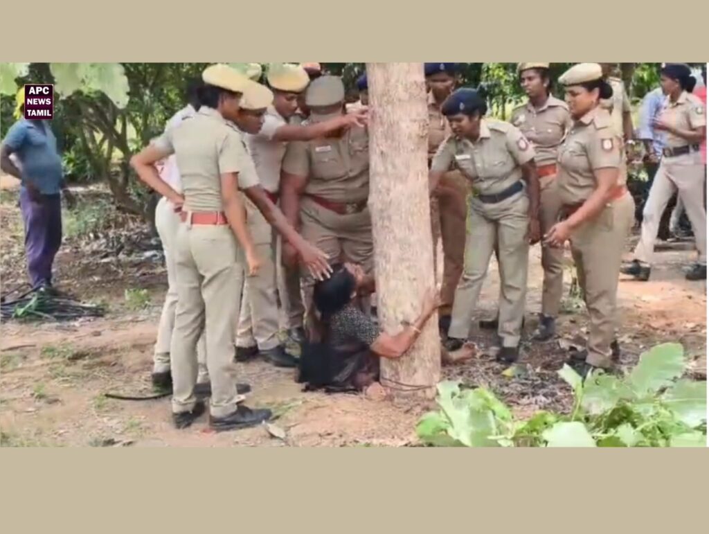 கள்ளக்குறிச்சி அருகே அதிர்ச்சி: காவல்துறை பாதுகாப்புடன் நூற்றுக்கும் மேற்பட்ட மரங்கள் வெட்டிச் சாய்ப்பு - இழப்பீடாக ரூ.97, ஆயிரமா என கண்ணீர் விடும் விவசாயிகள்!