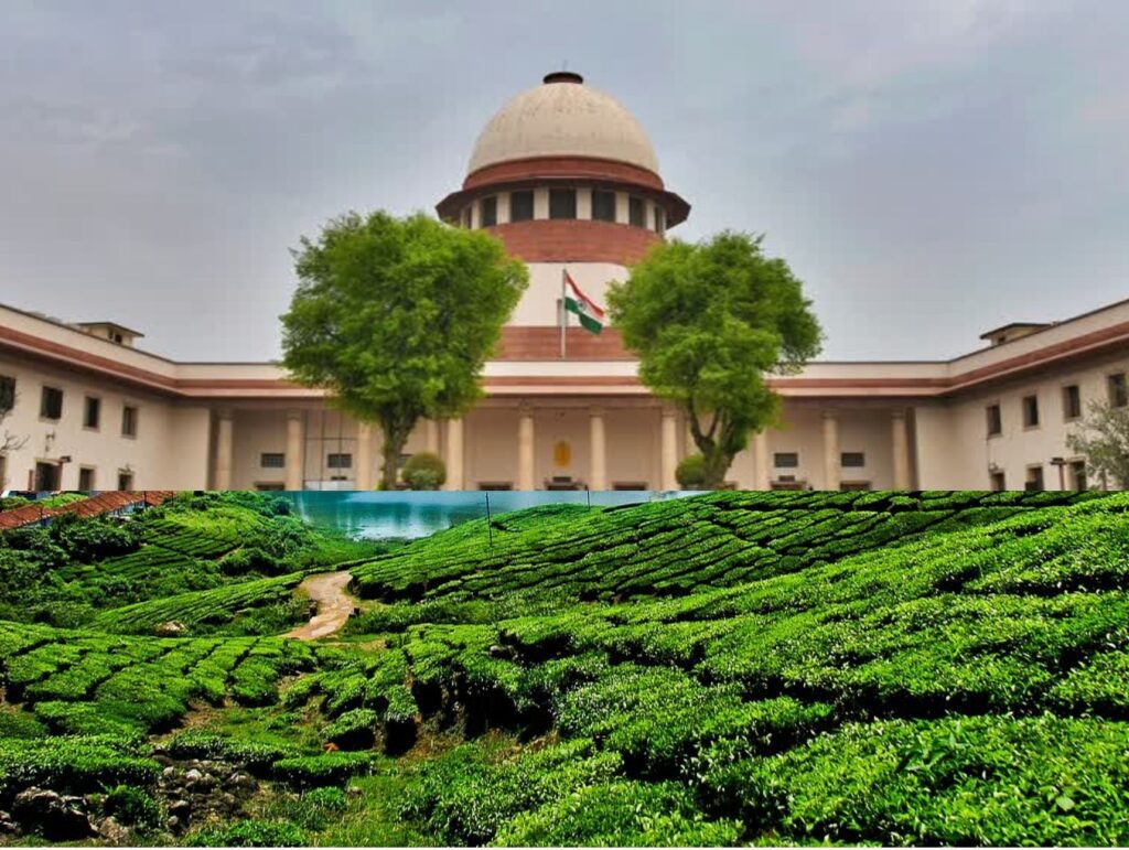 மேகமலை புலிகள் சரணாலய ஆக்கிரமிப்புகள் முழுமையாக அப்புறப்படுத்தப்பட வேண்டும்! உச்ச நீதிமன்றம் மீண்டும் திட்டவட்டம் — மின், நீர் இணைப்புகளைத் துண்டிக்க அதிரடி உத்தரவு!