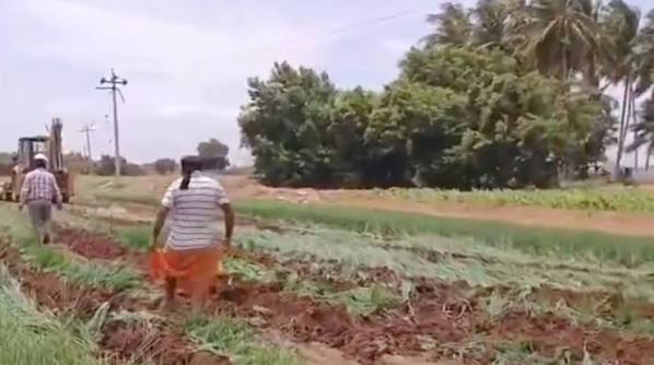 பல்லடத்தில் விவசாய நிலங்களில் குழாய் பதிப்பு: போராட்டத்தில் ஈடுபட்ட விவசாயிகள் கைது - மருத்துவமனையிலும் தொடரும் உண்ணாவிரதம்!