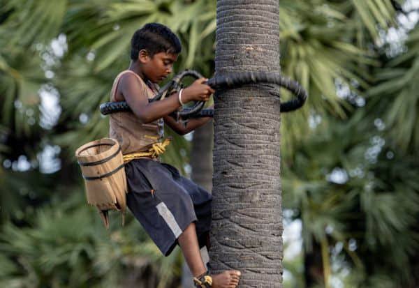 வேளாண் பட்ஜெட் : பழைய திட்டங்களுக்குப் பெயர் மாற்றம் மட்டுமே - தேமுதிக பொதுச்செயலாளர் பிரேமலதா விஜயகாந்த் ஆவேசம்!