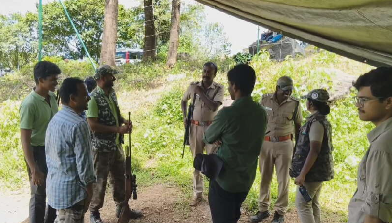 கூடலூர் நாலாம் நம்பர் பகுதியில் 'ஆப்பரேஷன் டைகர்'! 2 பேரை கொன்ற புலியைப் பிடிக்கத் தீவிர நடவடிக்கை!