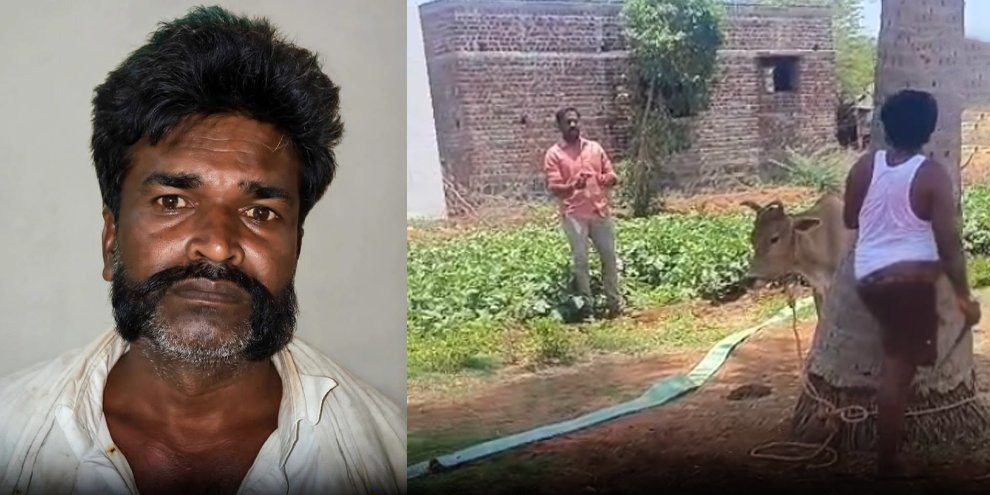 திண்டுக்கல் அருகே பரபரப்பு: விசாாணைக்கு ஆஜராகாமல் தப்பி ஓடிய ரவுடியைக் காலில் சுட்டுப் பிடித்த போலீசார்!