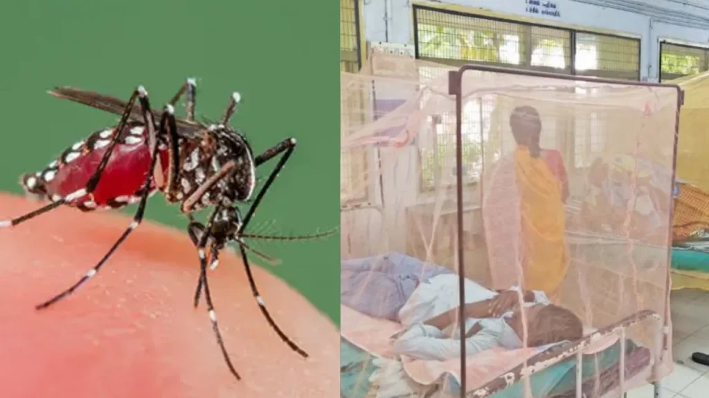 கலங்கடிக்கும் டெங்கு காய்ச்சல் புள்ளிவிவரங்கள்: முதலிடத்தில் சென்னை - உஷாராக இருக்க எச்சரிக்கை!