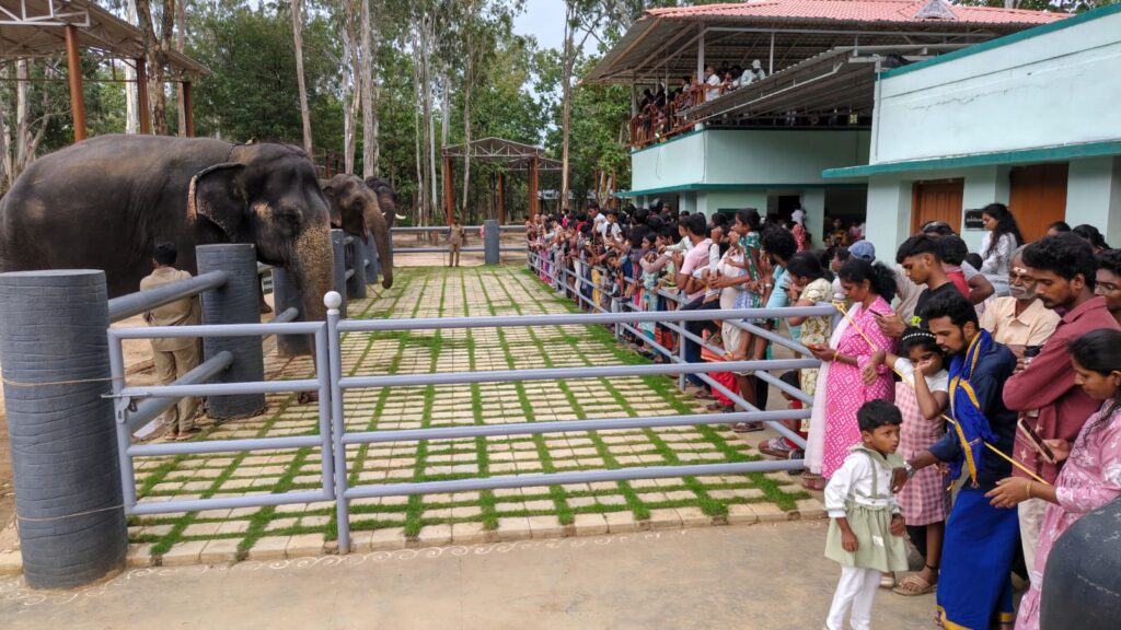 கோவையில் புதிய சுற்றுலாத் தளம்: சாடிவயல் யானைகள் முகாமில் குவியும் சுற்றுலாப் பயணிகள்