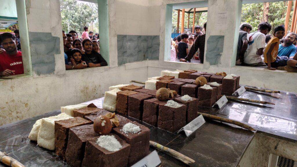 கோவையில் புதிய சுற்றுலாத் தளம்: சாடிவயல் யானைகள் முகாமில் குவியும் சுற்றுலாப் பயணிகள்