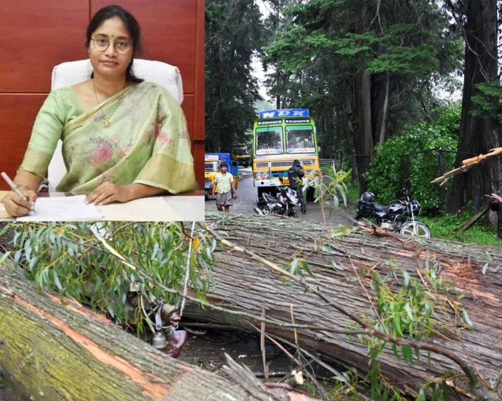நீலகிரியில் கனமழை எச்சரிக்கை: அனைத்து சுற்றுலாத் தலங்களும் மூடல்! மாவட்ட ஆட்சியர் உத்தரவு
